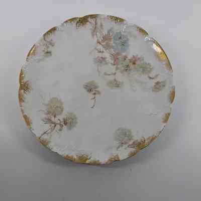 Plate, Salad