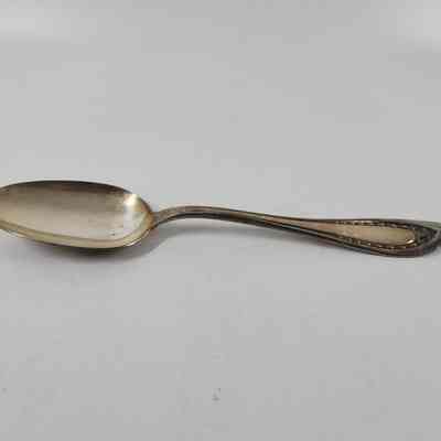 Dessert Spoon