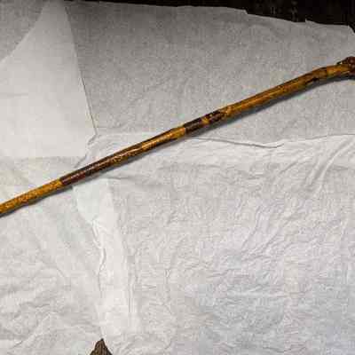 Walking Stick