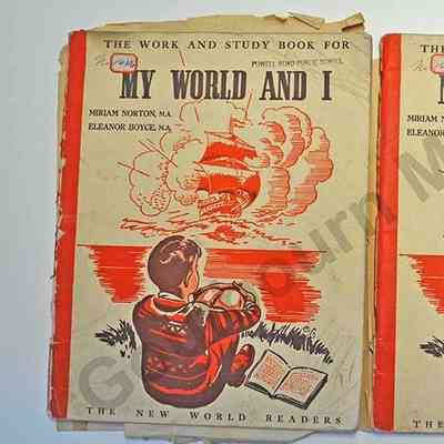 Book: "My World and I" The Work and study book for. No 1646