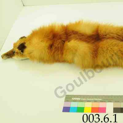 Stole: Red Fox