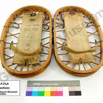 Snowshoe