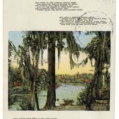 The Legend of the Spanish Moss