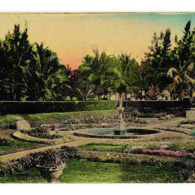 A Tropical Flower Garden