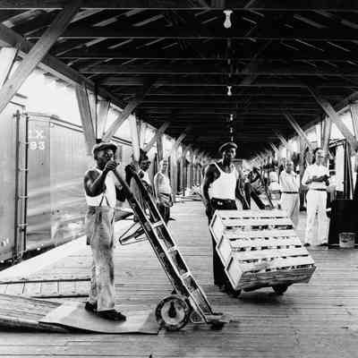 African American Stevedores Moving Produce at Port Everglades 1939