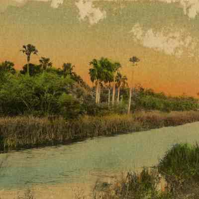 Along a Tropical Canal