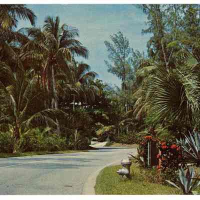 Bend in the Road