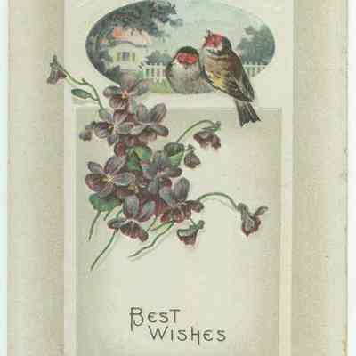Best Wishes