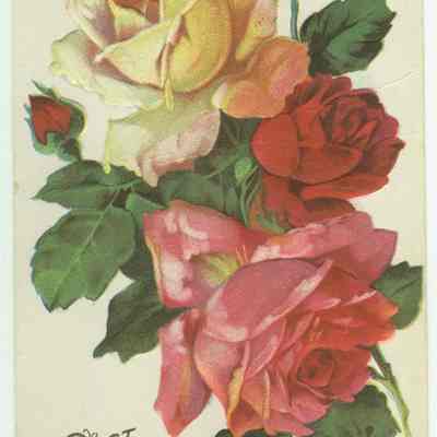 Best wishes