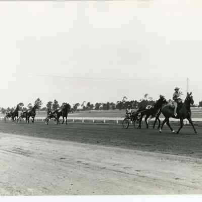 Harness Racers