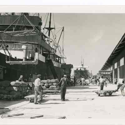 African American Dock Workers Unloading Freighter at Port Everglades 1938