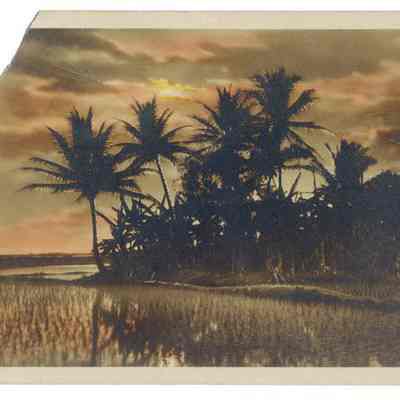 Moonlight View along New River, Fort Lauderdale, FL