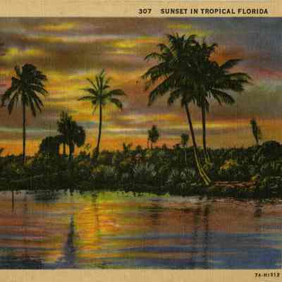 Sunset in Tropical Florida