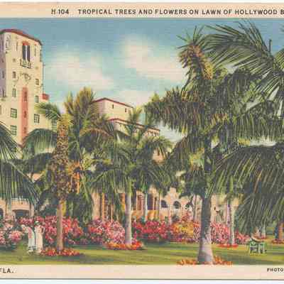 Tropical Trees and Flowers on Lawn of Hollywood Beach Hotel, Hollywood, Fla.