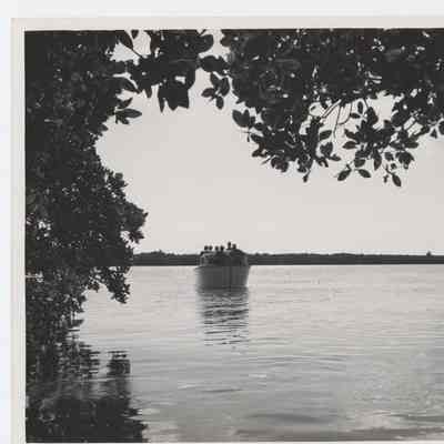 1940s Evergladew National Park