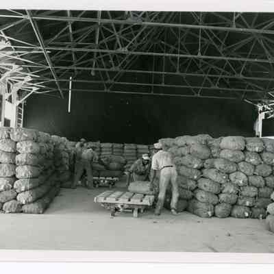 African Americans Loading Vegetables in Warehouse at Port Everglades 1938