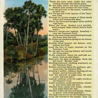 The Tamiami Trail, Florida