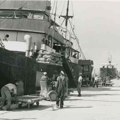 African Americans Loading Vegetables at Port Everglades 1938