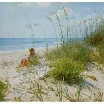 Along the Beautiful Sandy Beaches of Florida