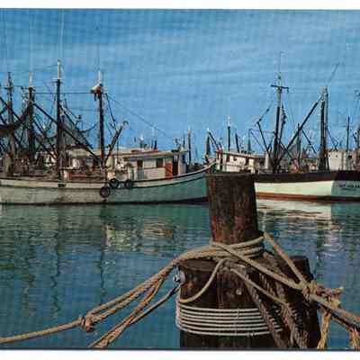 The Shrimp Fleet - in Florida Waters