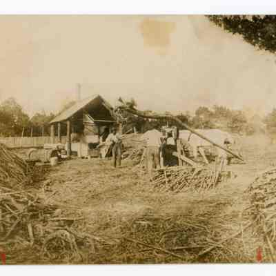 South Florida Sugar Cane Mill c.1912