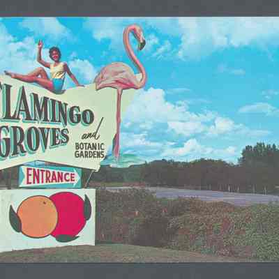 Flamingo Groves and Botanic Gardens