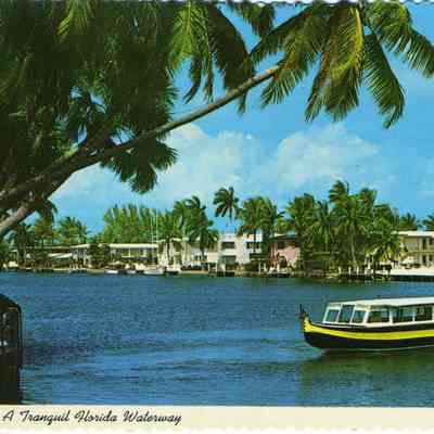 Himmarshee Canal, admist tropical setting