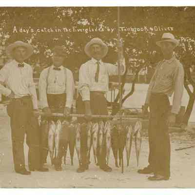 A Day's Catch in the Everglades