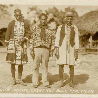 John Willie, Chestnut Billie, Dr. Tiger