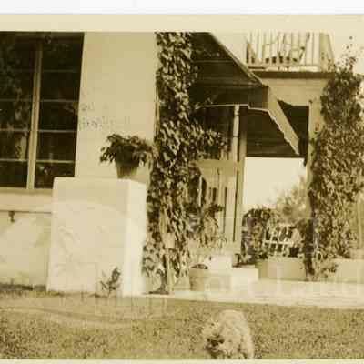 Exterior view of the Follansbee home with dog in foreground