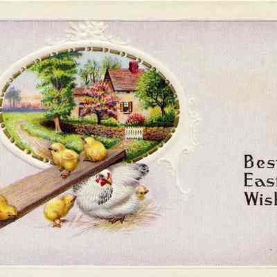 Best Easter Wishes