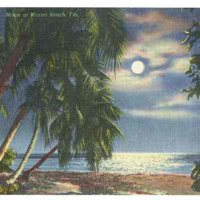 Moon at Miami Beach, Florida