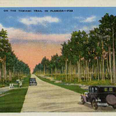 On the Tamiami Trail in Florida--F33