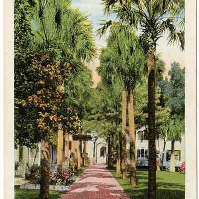 Palm Row, St. Augustine, Florida