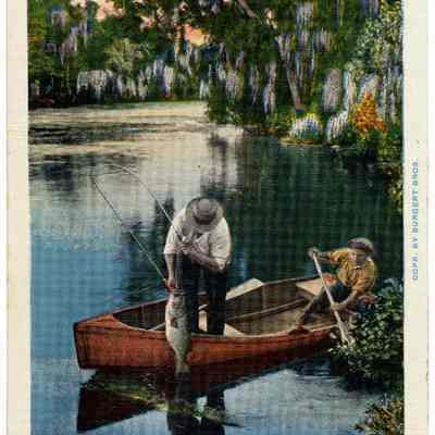 Fishing Is Great In Florida