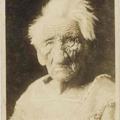 Chief Wa-Ha-Gunta, Born 1783, Still Living 1919