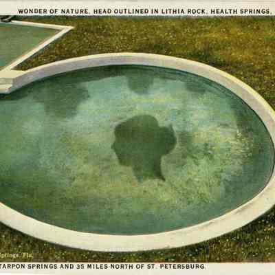 Wonder of Nature, Head Outlined in Lithia Rock, Health Springs, Florida / 3 Miles South of Tarpon Springs and 35 Miles North of St. Petersburg