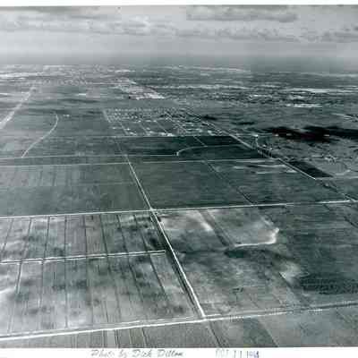 Aerial View of Plantation Looking East From University Drive 1954