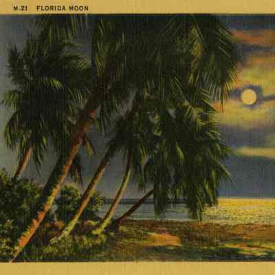 Florida Moon