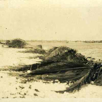 Showing the damage done to the boats docked along New River by the Sept. 18, 1926 Hurricane,