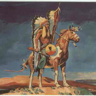 Indian Warrior