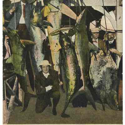 Fishing in Florida