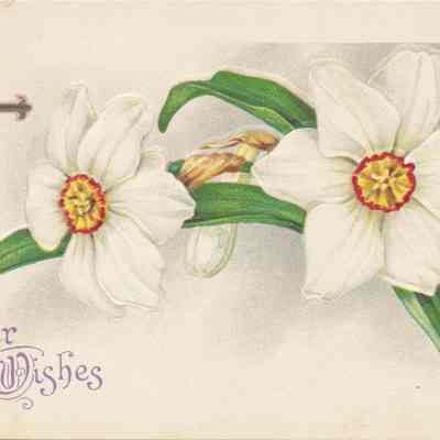 Easter Wishes