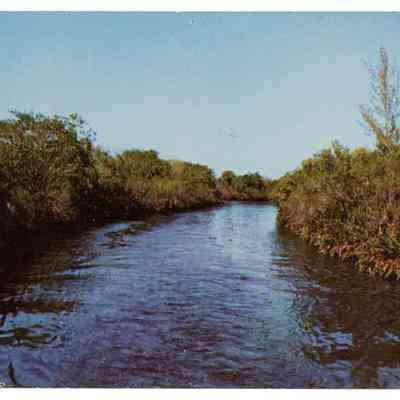 Mysterious New River in Fort Lauderdale, Florida