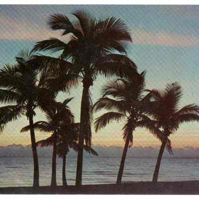 A Florida Sunrise