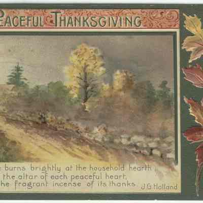 A Peaceful Thanksgiving
