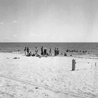 Wade-In Participants