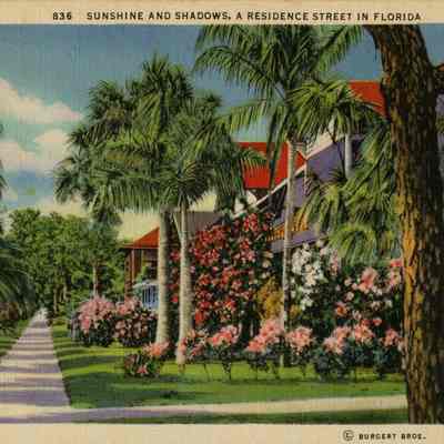 Sunshine and Shadows, A Residence Street in Florida