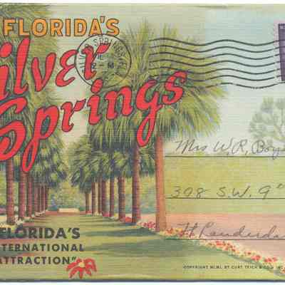 Scenic Views of Florida's Silver Springs