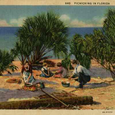 Picnicking in Florida